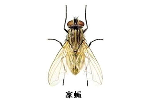 未標題-3.jpg