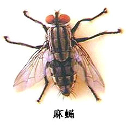 未標題-4.jpg