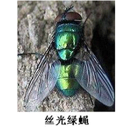 未標題-4.png